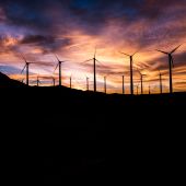 Sustainability in the UK