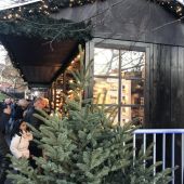 Celebrating Christmas in Scotland